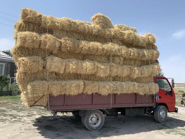 преобразователь для стрижки овец: Доставка салома по Сокулук Беловодск Кара-Балта