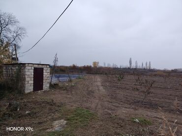 Torpaq sahələrinin satışı: Mülkiyyətçi — 1