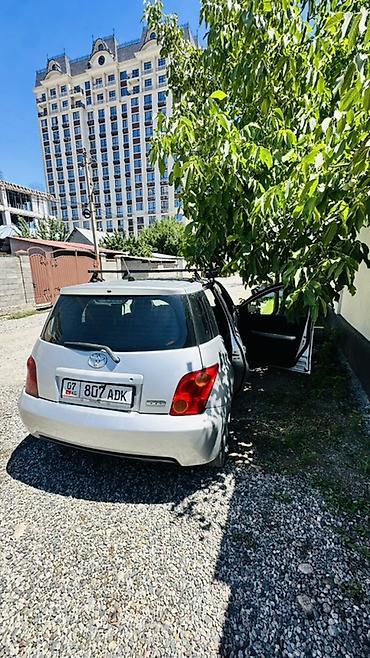 voxy noah: Toyota Ist: 2004 г., Автомат, Бензин, Хэтчбэк — 3