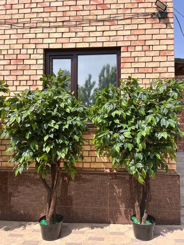 Декоративные цветы: Искусственные деревья и цветы — долговечный и стильный декор без — 2