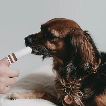 feisty pets: LILA LOVES IT – Dental Micro-Fleece prst za čišćenje zuba za pse i — 5
