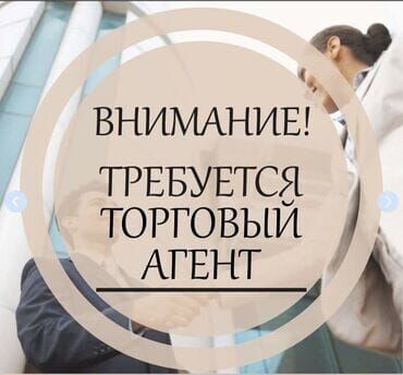 требуется кладовщик: Требуется Торговый агент, График: Пятидневка, Без опыта, Оплачиваемый отпуск, Полный рабочий день