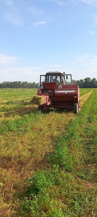 Другие сеялки: Продаю сеялка сеелка сеялку кукурузную дисковые сошники, роторную — 23