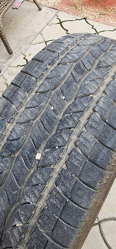 покрышки мото: Автомобильная шина Maxxis 770 Bravo H/T 2 шт - Тип: радиальная — 6
