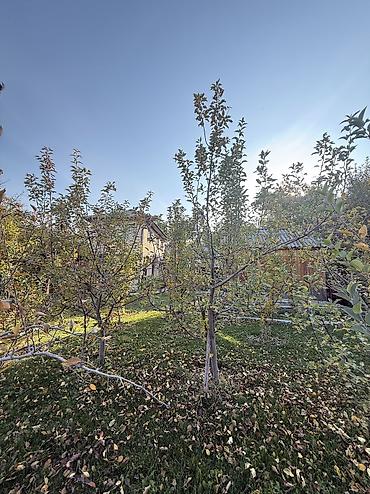 Продажа дачи: 4 комнаты, 200 м², 10 соток, Электричество, Горячая вода, Холодная вода — 14