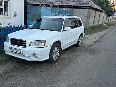 Subaru: Subaru Forester: 2003 г., 2.5 л, Автомат, Бензин, Универсал — 3