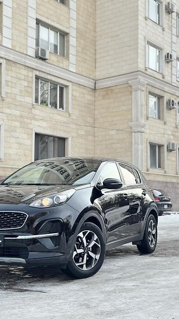 Kia: Kia Sportage: 2019 г., 2 л, Автомат, Дизель, Кроссовер — 3