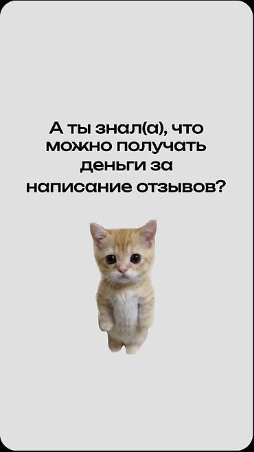 удаленная работа тексты: Подработка: написание отзывов - Задача: писать небольшие — 1