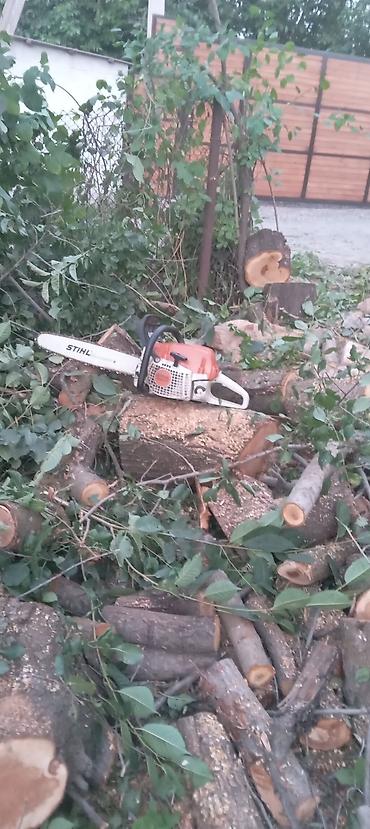Спил деревьев, заготовка дров: Бак кыйабыз отун аралайбыз. ар кандай кыйынчылыктагы 24/7 чалып — 4