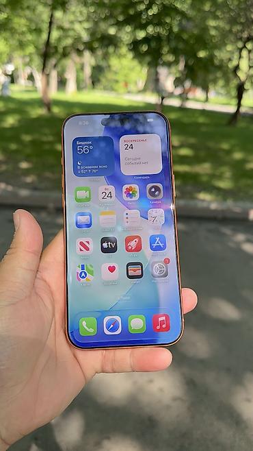 Apple iPhone: IPhone 17 Pro Max, Б/у, 1 ТБ, 100 % — 13