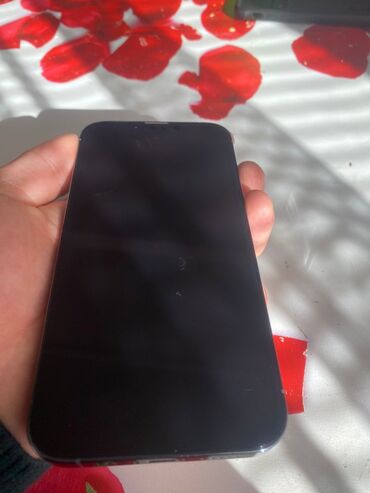 Apple iPhone: IPhone 13 Pro, 128 ГБ, Sierra Blue — 9