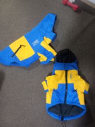 Psi: Jaknice za vaseg psa. cena za plavo zutu 1500, zuta i crna su po 500 — 4