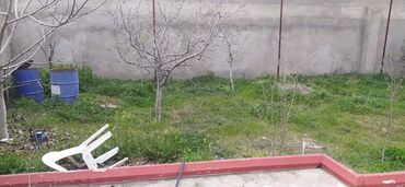 Bağ evlərinin satışı: Bakı, Nardaran qəs., 4 kv. m, 4 otaqlı, Hovuzlu, Su, İşıq, Artezian quyusu — 15