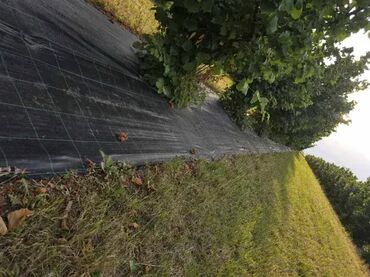 Baštenski alati i oprema: 1,05x100m-Agrotekstil folija- Premium prostirka za suzbijanje korova na lalafo.rs — 6 Baštenski alati i oprema: 1,05x100m-Agrotekstil folija- Premium prostirka za suzbijanje korova — 6