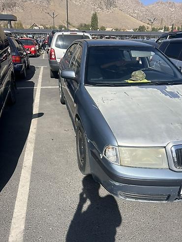 Skoda: Skoda Octavia: 2004 г., Седан — 2