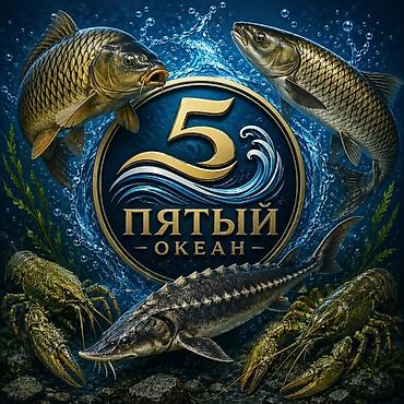 живой корм: ПЯТЫЙ ОКЕАН Рыбный магазин – всегда свежие дары воды! У нас вы найдёте — 1