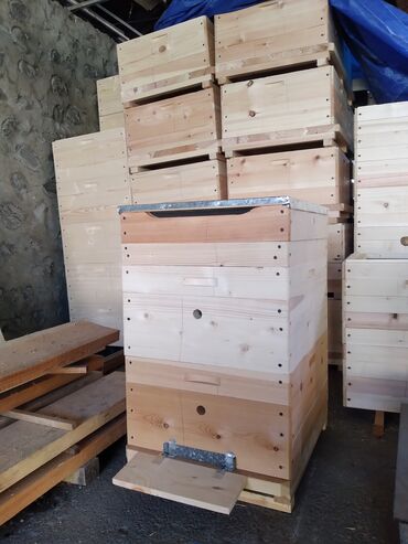 ana arı satışı: ~Arı Yeşikləri Yığılır ~2 Korpuslu 76 Azn ~Quru Şam Taxtadan Yığılır