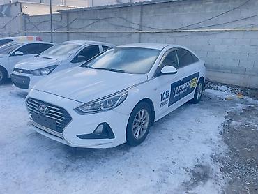 аренда машинп: Сдаю Hyundai Sonata под такси, На месяц, | Залог, Предоплата, Водительские права — 4