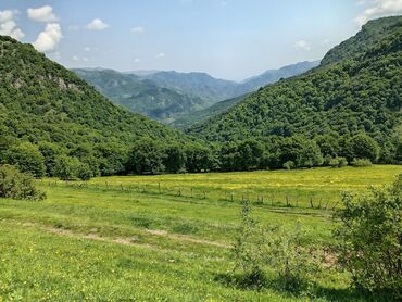 Torpaq sahələrinin satışı: 50 sot, Mülkiyyətçi, Kupça (Çıxarış) — 5