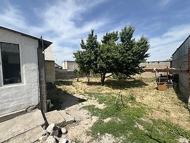 Продажа коттеджей и домов: Дом с участком - Отдельно стоящий дом из кирпича/блока с двускатной — 2