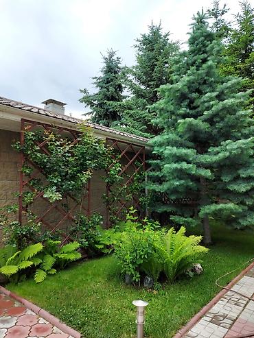 Продажа квартир: 4 комнаты, 130 м² — 27