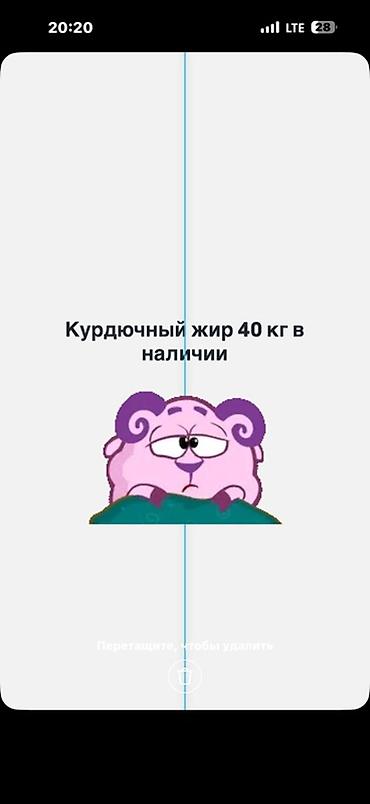 soft shell: Курдючный жир — 40 кг - Натуральный продукт из курдюка овец. - — 1