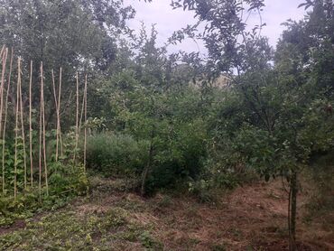 Torpaq sahələrinin satışı: 6 sot, Tikinti, Makler, Kupça (Çıxarış) — 3