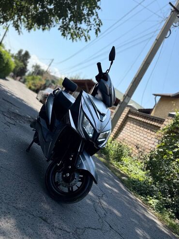 зарядное устройство для аккумуляторов автомобилей: Скутер Aucma, 500 куб. см, Электро, Новый