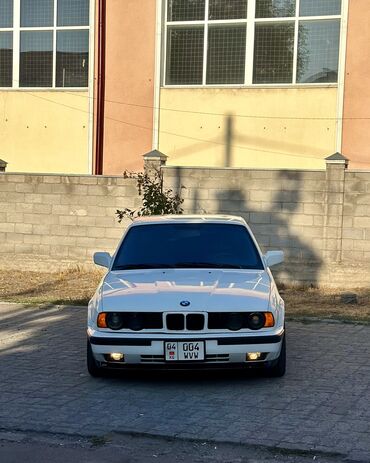 BMW: BMW M5: 1991 г., 3 л, Механика, Бензин