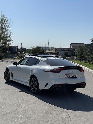 k7 2017: Kia Stinger: 2019 г., 2 л, Автомат, Бензин, Лифтбек — 3