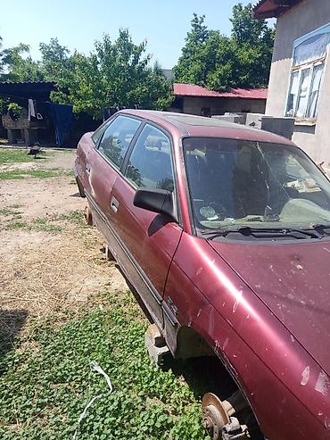 транс: Opel Astra: 1992 г., Механика, Бензин, Седан — 5