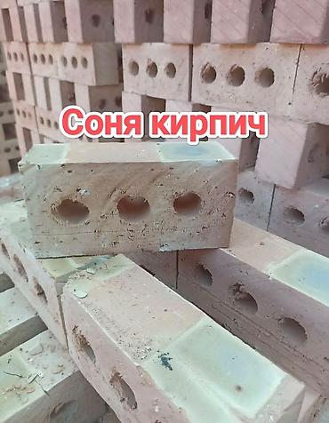 Пустотелый, дырчатый, Жженый кирпич, Полублок, 250×120×90