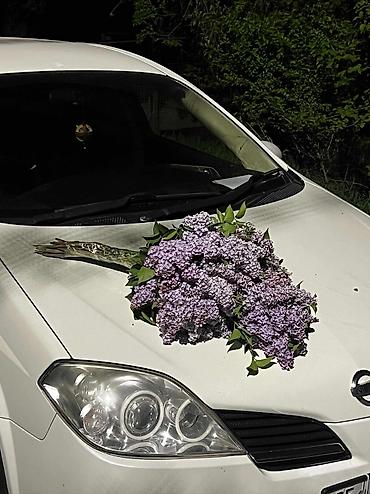 nisan: Nissan Primera: 2002 г., 2.5 л, Автомат, Бензин, Седан — 4