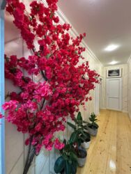 Həyət evləri və villaların satışı: Masazır 3 otaqlı, 90 kv. m, Yeni təmirli -da lalafo.az — 12 Həyət evləri və villaların satışı: Masazır 3 otaqlı, 90 kv. m, Yeni təmirli — 12