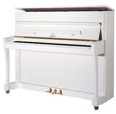sergiden sekiller fortepiano silsilesini kim yazib: Piano, Yeni, Pulsuz çatdırılma