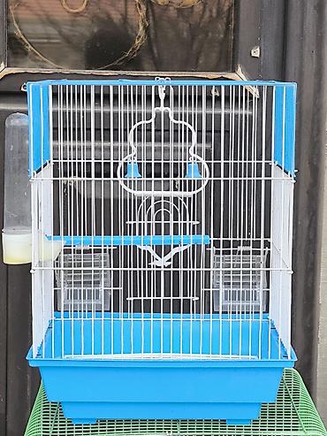 quş yuva: Quş qəfəsi – orta ölçü, ağ metal barmaqlıqlar və mavi plastik altlıq — 1