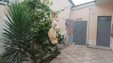 Həyət evləri və villaların satışı: 3 otaqlı, 100 kv. m, Yeni təmirli -da lalafo.az — 27 Həyət evləri və villaların satışı: 3 otaqlı, 100 kv. m, Yeni təmirli — 27