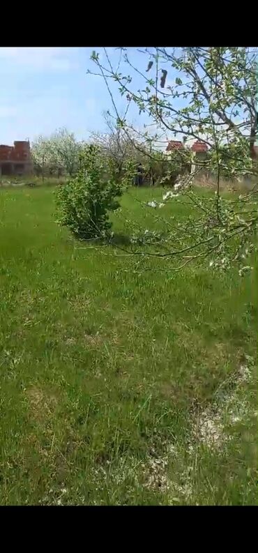 Torpaq sahələrinin satışı: 8 sot, Kənd təsərrüfatı, Mülkiyyətçi, Bələdiyyə -da lalafo.az — 8 Torpaq sahələrinin satışı: 8 sot, Kənd təsərrüfatı, Mülkiyyətçi, Bələdiyyə — 8