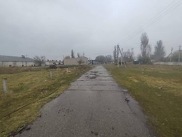 Продажа сельхоз предприятий: Ферма КРС, 800 соток, Действующий, Частично с оборудованием, Скважина, Холодная вода, Электричество — 8