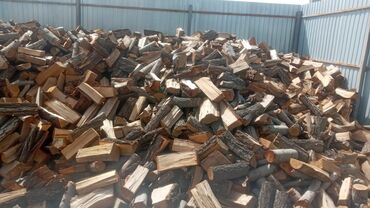 продать дрова оптом: Дрова