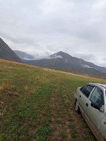Daewoo: Daewoo Nexia: 2007 г., 1.5 л, Механика, Бензин, Седан — 6