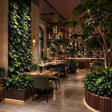 zeleniy cay: Green House Azerbaijan. Dekor interyer Kafe×restoranlar üçün — 5