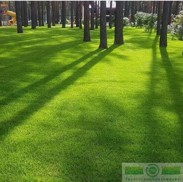 охранное агентство бишкек: Сеем газон ландшафтный дизайн озеленение территории авто полив