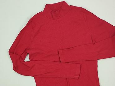 softshell material: Hollister, Golf damski, rozmiar L — 1