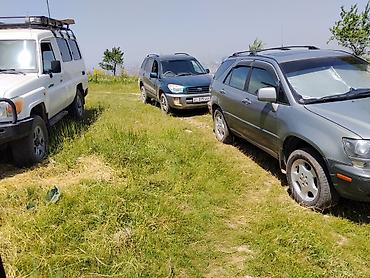 катафот срв: Toyota RAV4: 2002 г., Кроссовер — 7