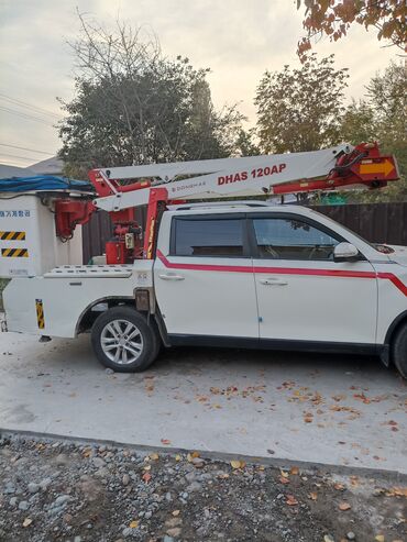 садовый измелчитель: Автовышка, 2018 г.