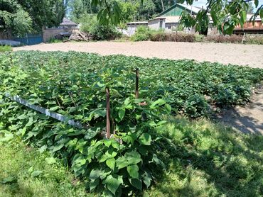 Продажа домов: Дом, 1700 м², 4 комнаты, Собственник, Дизайнерский ремонт — 13