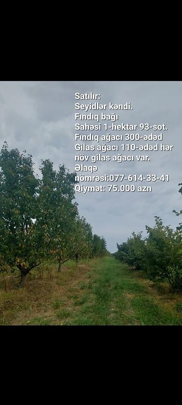 Torpaq sahələrinin satışı: 1 sot, Kənd təsərrüfatı — 1