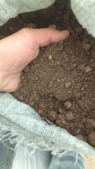 Torf: Torf kakabit peyin qara torpaq satışı 150 ədədən çox alana -da lalafo.az — 32 Torf: Torf kakabit peyin qara torpaq satışı 150 ədədən çox alana — 32