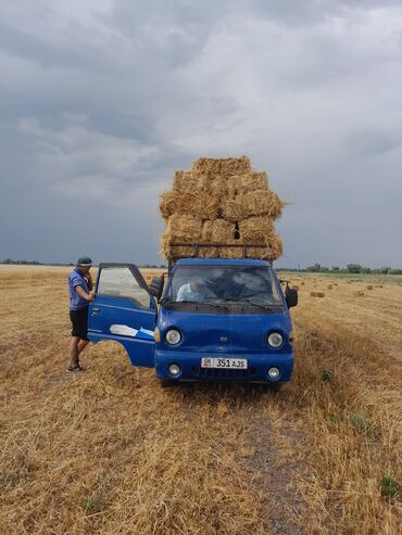 жумуш кылатка: Шаар ичинде, жүк ташуучу жумушчусу менен